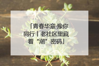 青春华章·豫你同行丨老社区里藏着“潮”密码