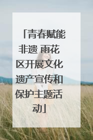 青春赋能非遗 雨花区开展文化遗产宣传和保护主题活动