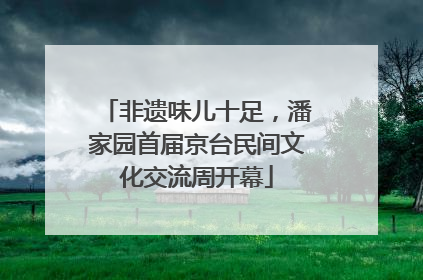 非遗味儿十足，潘家园首届京台民间文化交流周开幕