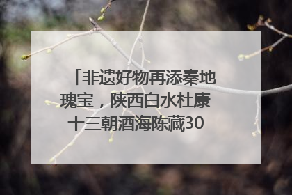 非遗好物再添秦地瑰宝，陕西白水杜康十三朝酒海陈藏30年别具一格