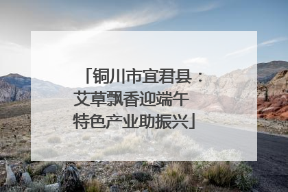 铜川市宜君县：艾草飘香迎端午 特色产业助振兴