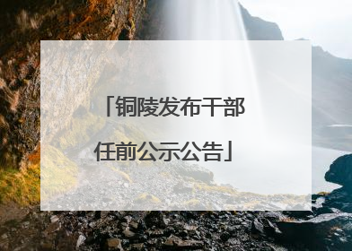 铜陵发布干部任前公示公告