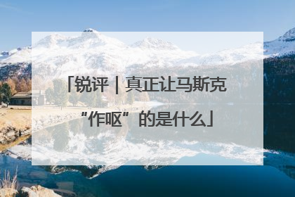 锐评｜真正让马斯克“作呕”的是什么