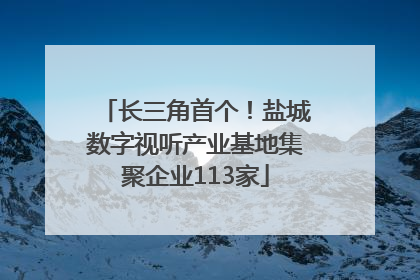 长三角首个！盐城数字视听产业基地集聚企业113家