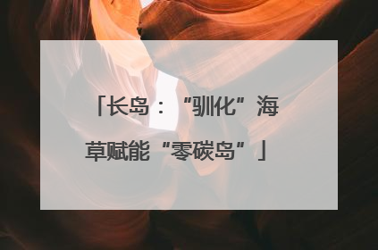 长岛：“驯化”海草赋能“零碳岛”