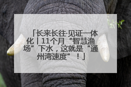 长来长往·见证一体化丨11个月“智慧渔场”下水，这就是“通州湾速度”！