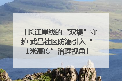 长江岸线的“双堤”守护 武昌社区防溺引入“1米高度”治理视角