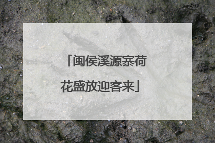 闽侯溪源寨荷花盛放迎客来