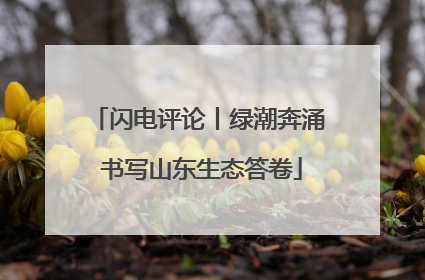 闪电评论丨绿潮奔涌 书写山东生态答卷