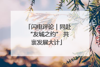 闪电评论｜同赴“友城之约” 共襄发展大计