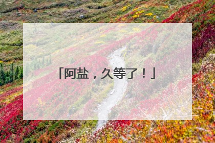 阿盐，久等了！