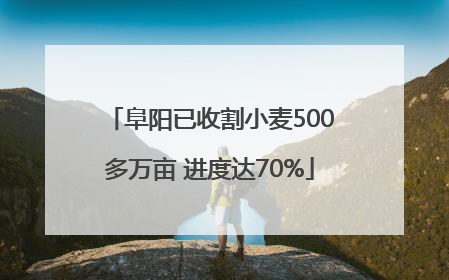 阜阳已收割小麦500多万亩 进度达70%