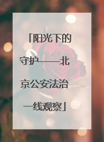 阳光下的守护——北京公安法治一线观察