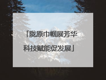 陇原巾帼展芳华 科技赋能促发展