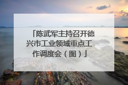 陈武军主持召开德兴市工业领域重点工作调度会（图）