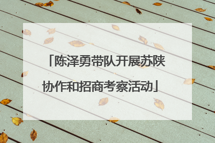 陈泽勇带队开展苏陕协作和招商考察活动