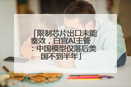 限制芯片出口未能奏效，白宫AI主管：中国模型仅落后美国不到半年