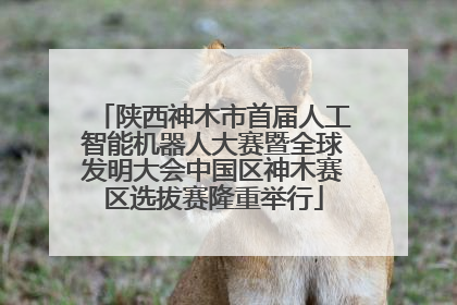 陕西神木市首届人工智能机器人大赛暨全球发明大会中国区神木赛区选拔赛隆重举行