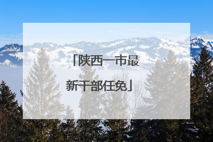陕西一市最新干部任免