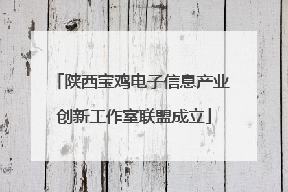 陕西宝鸡电子信息产业创新工作室联盟成立