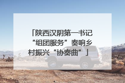 陕西汉阴第一书记“组团服务”奏响乡村振兴“协奏曲”