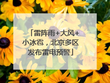 雷阵雨+大风+小冰雹，北京多区发布雷电预警
