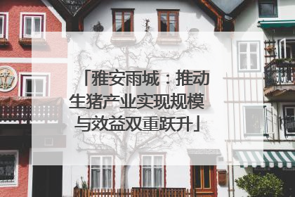 雅安雨城：推动生猪产业实现规模与效益双重跃升