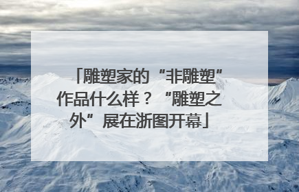 雕塑家的“非雕塑”作品什么样？“雕塑之外”展在浙图开幕