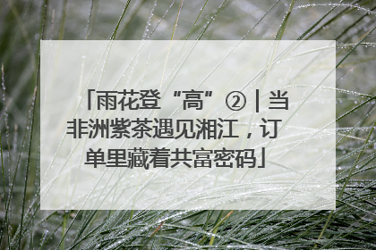 雨花登“高”②｜当非洲紫茶遇见湘江，订单里藏着共富密码