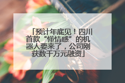 预计年底见！四川首款“懂情感”的机器人要来了，公司刚获数千万元融资