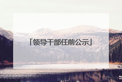 领导干部任前公示