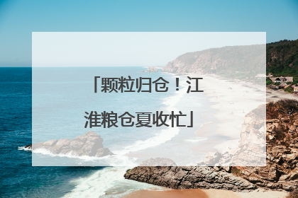 颗粒归仓！江淮粮仓夏收忙
