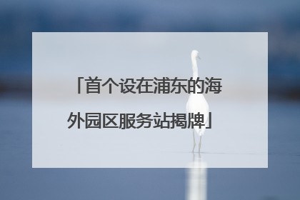 首个设在浦东的海外园区服务站揭牌