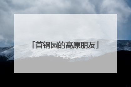 首钢园的高原朋友
