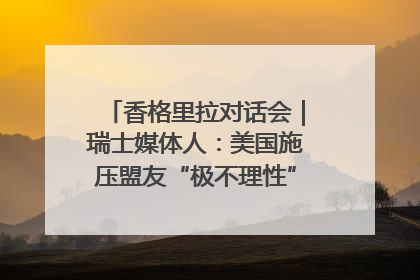 香格里拉对话会｜瑞士媒体人：美国施压盟友“极不理性” 欧洲国家无意与中国“脱钩断链”