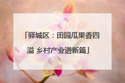 驿城区：田园瓜果香四溢 乡村产业谱新篇
