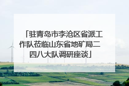 驻青岛市李沧区省派工作队莅临山东省地矿局二四八大队调研座谈