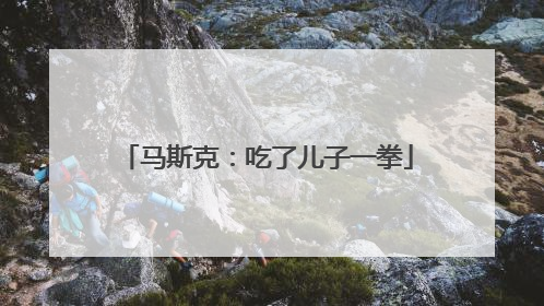 马斯克：吃了儿子一拳