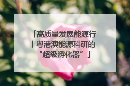 高质量发展能源行丨粤港澳能源科研的“超级孵化器”