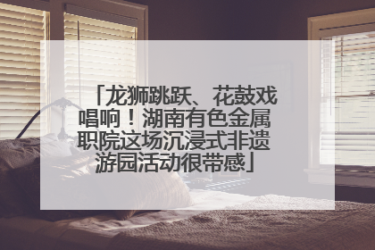 龙狮跳跃、花鼓戏唱响！湖南有色金属职院这场沉浸式非遗游园活动很带感
