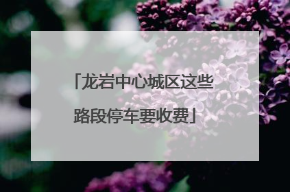 龙岩中心城区这些路段停车要收费