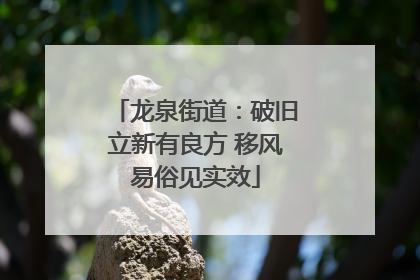 龙泉街道：破旧立新有良方 移风易俗见实效