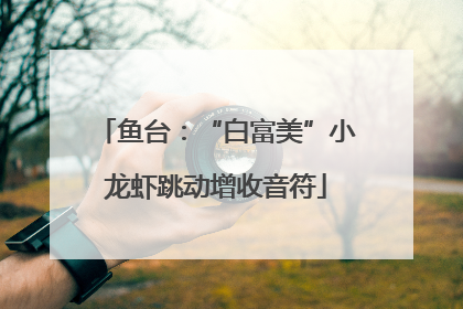 鱼台：“白富美”小龙虾跳动增收音符