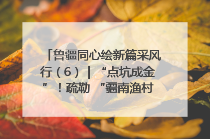 鲁疆同心绘新篇采风行（6）｜“点坑成金”！疏勒 “疆南渔村” 从废弃坑塘变身全国垂钓胜地