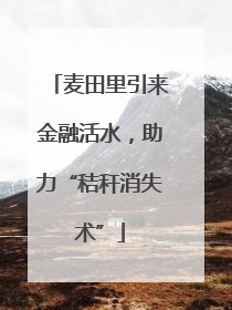 麦田里引来金融活水，助力“秸秆消失术”