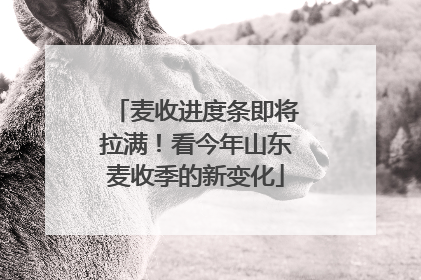 麦收进度条即将拉满！看今年山东麦收季的新变化