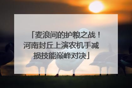 麦浪间的护粮之战！河南封丘上演农机手减损技能巅峰对决