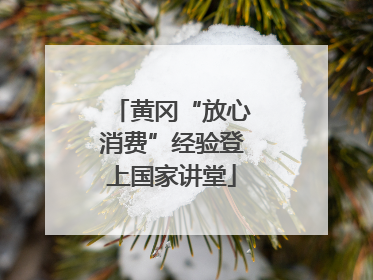 黄冈“放心消费”经验登上国家讲堂