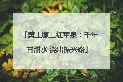 黄土塬上红军泉：千年甘甜水 浇出振兴路