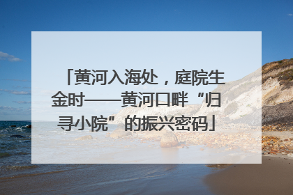 黄河入海处，庭院生金时——黄河口畔“归寻小院”的振兴密码